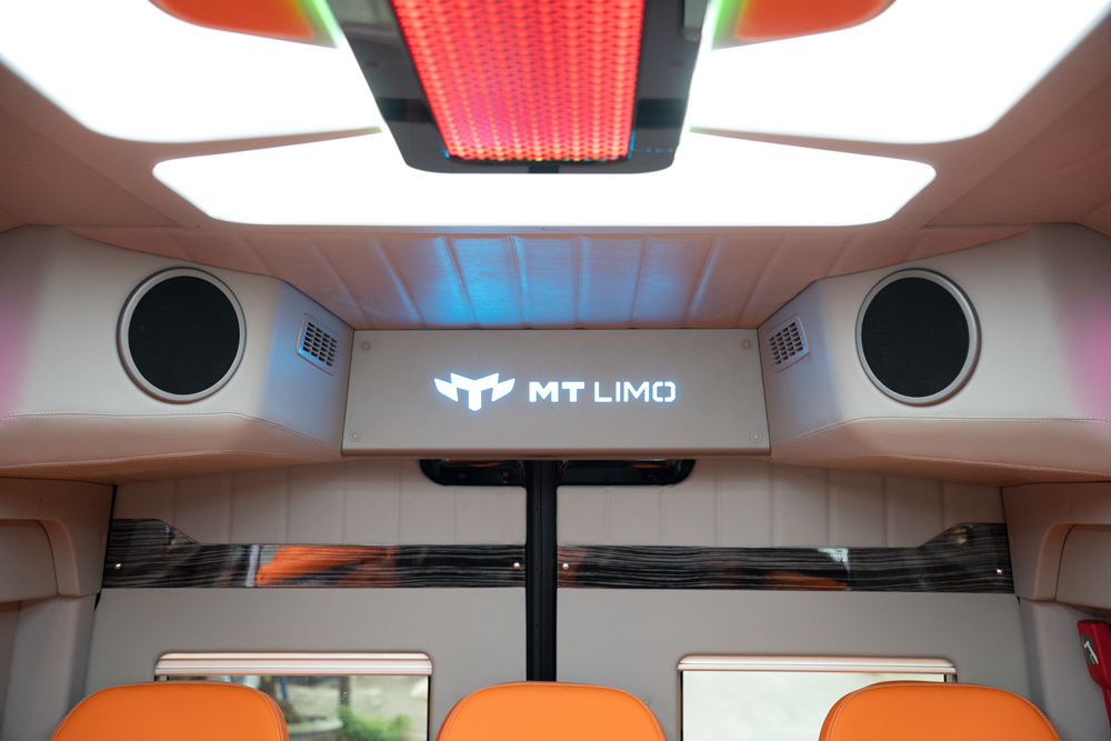 mt-limo-hyundai-solati-t12-eco-018