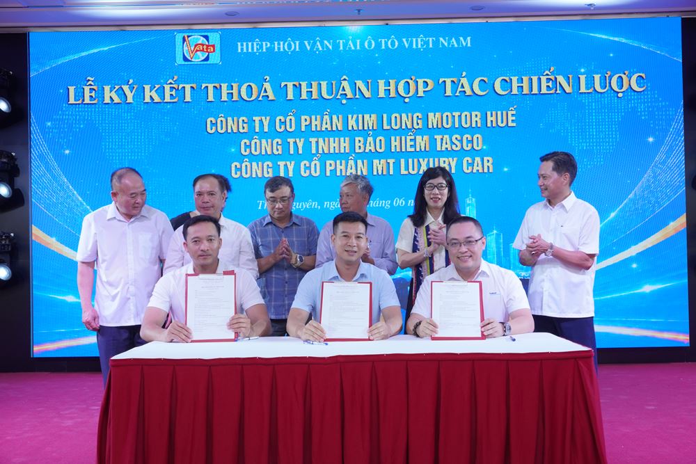 MT gia nhập VATA, ảnh 2